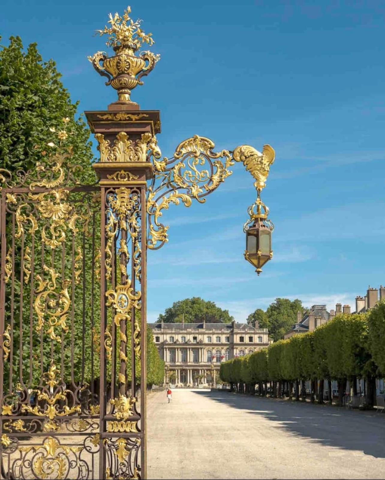 Le Dominicains Appartement Au Calme Aux Portes De La Place Stanislas Nancy Exterior foto